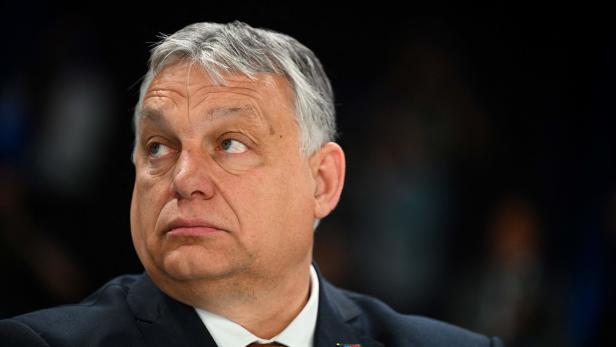 Orban: "Wir wollen nicht zu Gemischtrassigen werden"