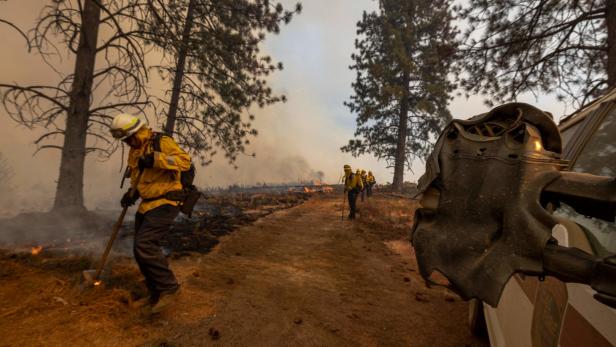 Größter Waldbrand in Kalifornien in dieser Brandsaison