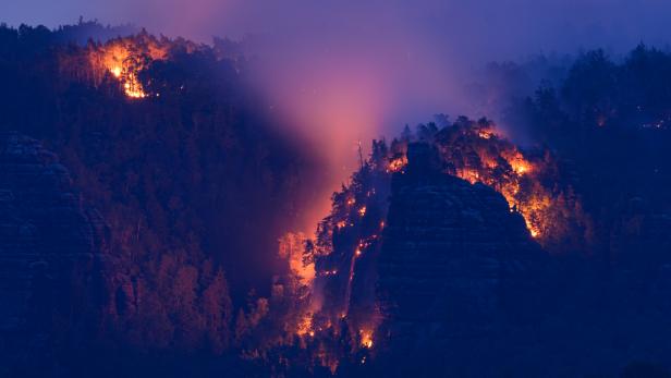 Waldbrände im Nationalpark Sächsische Schweiz