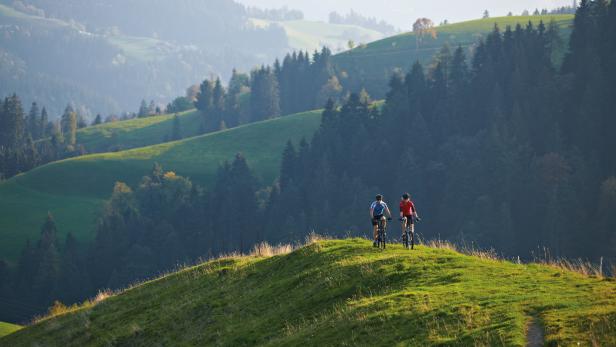 Zwei Radfahrer fahren auf einem grünen Hügel mit Blick auf eine bewaldete Landschaft.