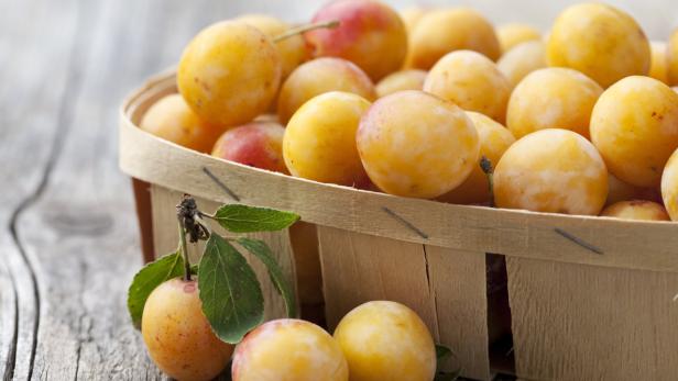 Ein Korb voller gelber Mirabellen auf einem Holztisch.