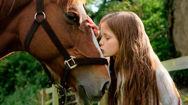 Faszination Pferde: Warum sie hauptsächlich Mädchensache sind