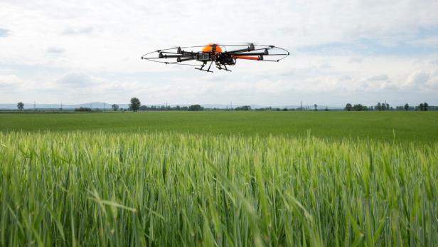 Mit Drohnen können Felder überwacht und Schädlinge freühzeitig erkannt werden