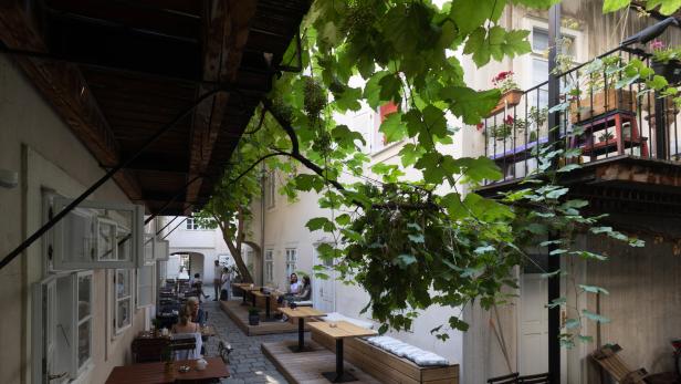 Einladender Innenhof mit Tischen und Weinreben, die Schatten spenden.