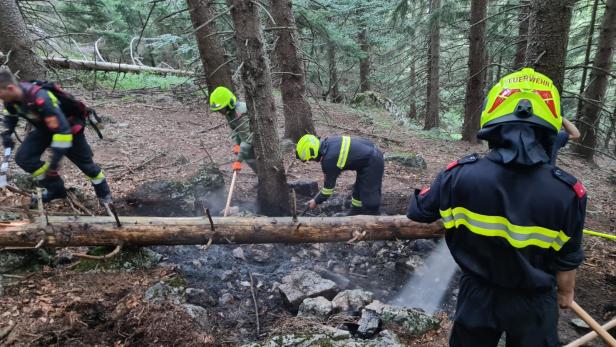 Illegale Lagerfeuer: Zwei Waldbrände in Niederösterreich verhindert