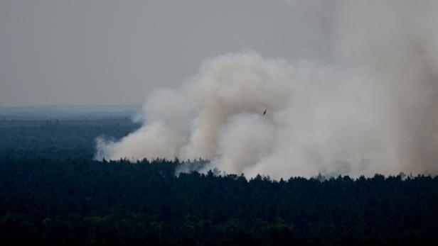 Brand im deutschen Grunewald breitet sich unkontrolliert aus