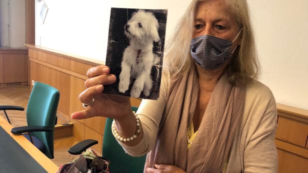 Hund bei Vernissage im Palais Kinsky zu Tode getreten