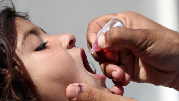Polioviren in London: Kinderlähmung zurück in Europa