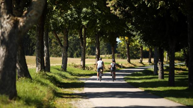 Radfahren im Waldviertel: Fünf abwechslungsreiche Ausflugsrouten