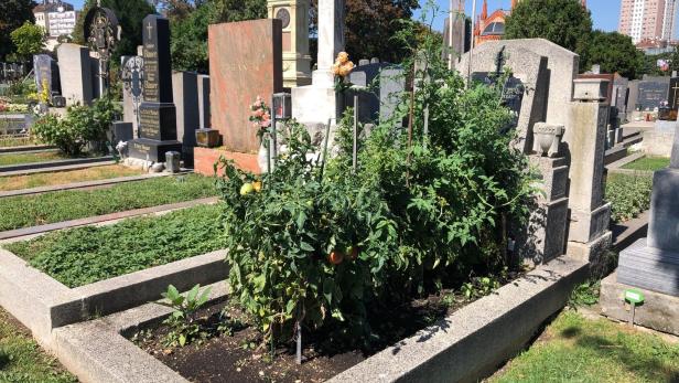 Garten auf dem Friedhof: Frisches Obst und Gemüse vom Totenacker
