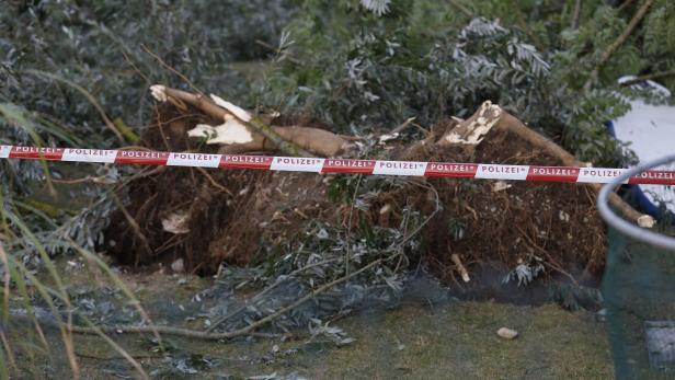 Tote nach Unwetter: Staatsanwaltschaft untersucht umgestürzte Bäume