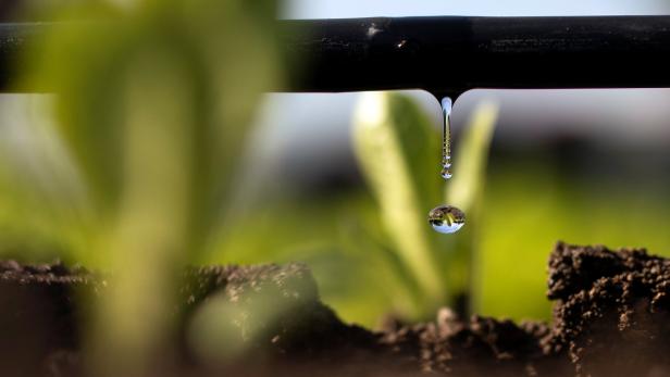 Bewässerung wird wegen mehr Trockenheit wichtiger