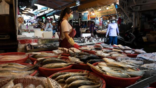 China: Auch Fische müssen zum Corona-Test
