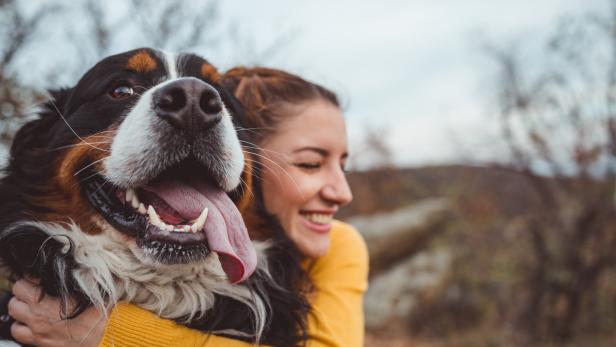 Kuschelhormon: Hunde weinen laut Studie vor Glück