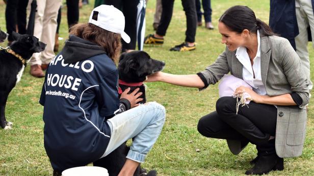 Tiere retten wie Harry und Meghan: Was man vor einer Adoption beachten sollte