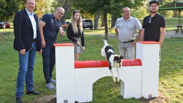 Mehr Platz für Hunde: Freilaufzone in St. Pölten wurde erneuert