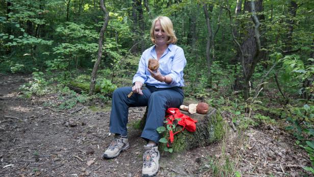 „Jägerin“: Seit Kindheitstagen sucht Doris Bures Pilze. Die besten Plätze werden nur der Familie verraten. Herrenpilze trocknet sie vorzugsweise – für die Erdäpfelsuppe im Winter