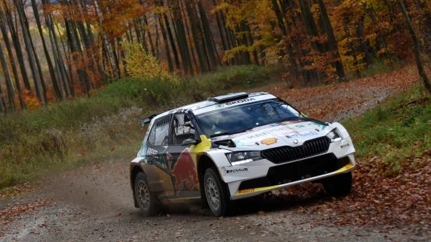 Finale der Rallye-Staatsmeisterschaft in Horn wegen Geldproblemen abgesagt