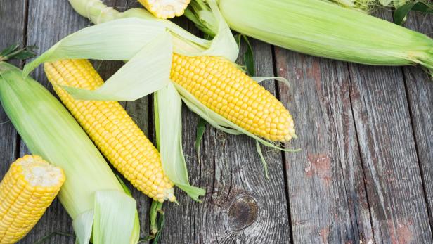 Fresh Corn on wooden table