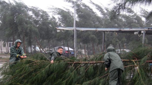 Drei Personen in Regenkleidung beseitigen einen umgestürzten Baum während eines Sturms.