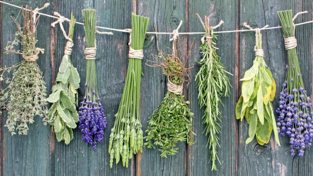 Verschiedene Kräuter und Lavendel hängen an einer Schnur vor einer grünen Holzwand.