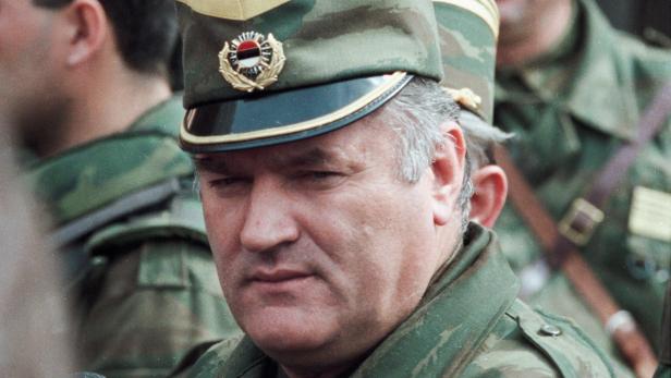 Bosnian Serb General Ratko Mladic leaves a meeting at the airport in Sarajevo