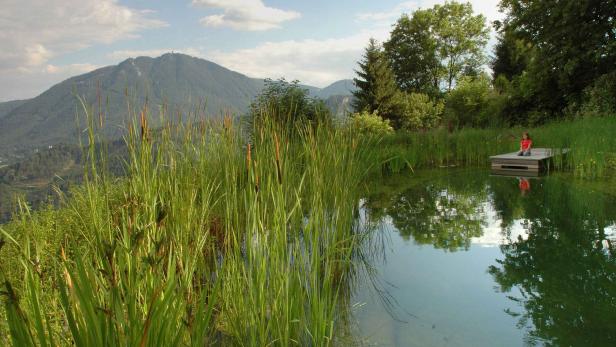 Der Gartenteich im Winterschlaf