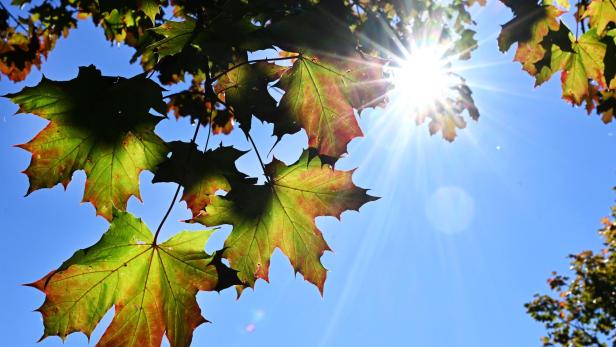 Wettervorschau: Durchhalten, goldener Herbst in Aussicht