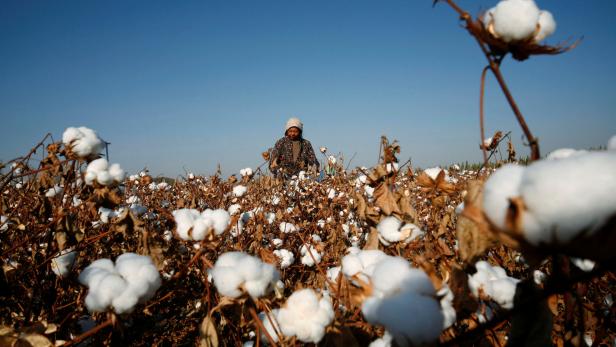 EU-Verbot für Produkte aus Zwangsarbeit soll China treffen