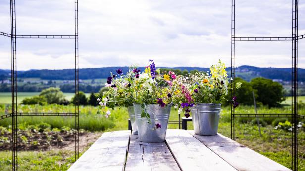 Drei Zinkeimer mit bunten Blumen stehen auf einem Holztisch im Freien.