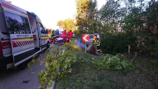 Nach Schlepper-Unfall im Burgenland: Elf Verletzte aus Spital entlassen