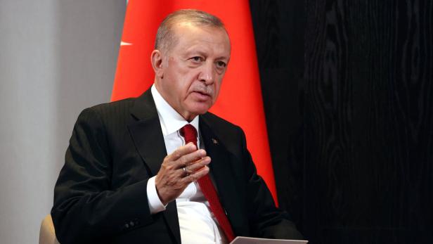 Klare Worte: Erdogan fordert Rückgabe besetzter Gebiete an Ukraine