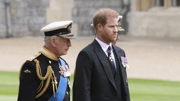 Auch der Sohn von Charles III, Prinz Harry, soll sich schäbig verhalten haben