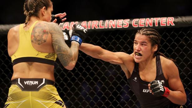 MMA: Der Spagat zwischen Sport und Gewaltverherrlichung
