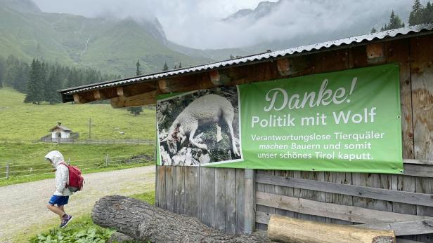 Der Wolf hetzt die Landespolitik und zerreißt die Wählerschaft