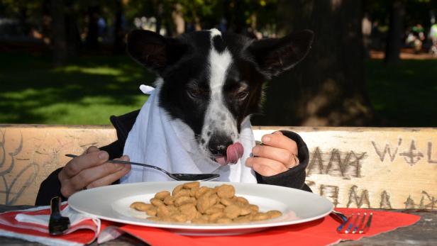 Die Gewinnerbilder des Wiener Fotomarathons 2014