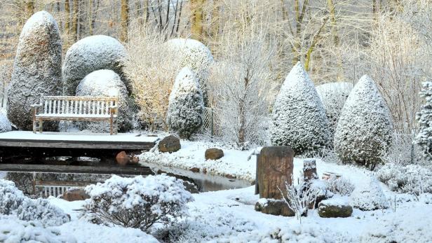 So macht man den Garten jetzt fit für den Winter