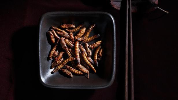 Geröstete Mehlwürmer in einer Schale mit Essstäbchen und einem Blatt auf dunklem Grund.