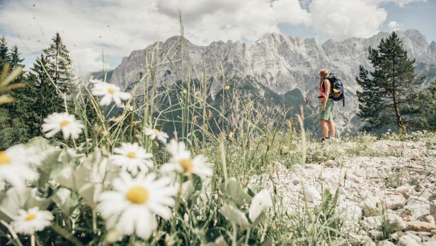 Wandern im Nationalpark Gesäuse