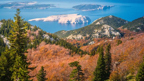 Blick von einem bewaldeten Hügel auf das Meer und die Insel Pag, Kroatien.