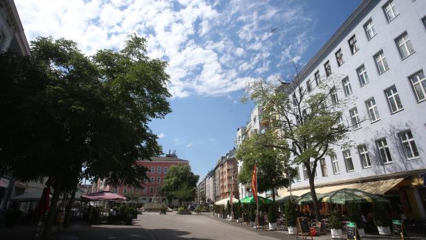 Wiener Grüne kommen nicht zur Ruhe: Schon wieder tritt ein Bezirksrat aus