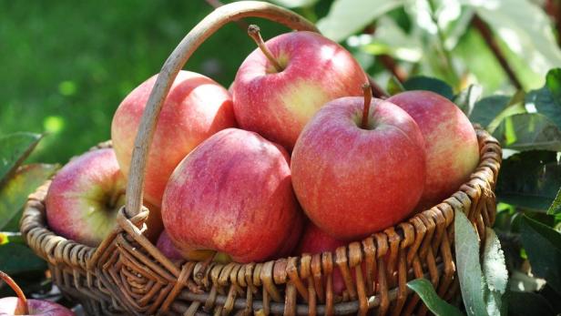 Verbutzt: Herbstliche Apfellust