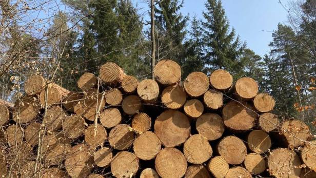 Streit um Biomasse:  Die große Umverteilung