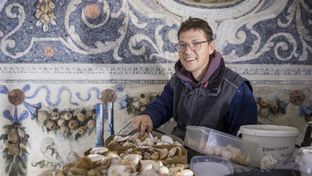 7.000 neue Muscheln für die Herkules-Grotte in Salzburg