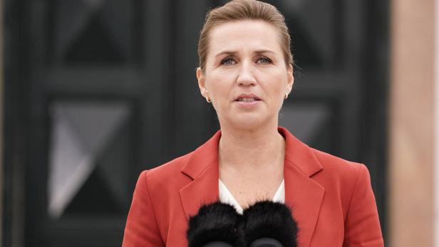 Neuwahlen nach Nerzqualen: Dänische Regierungschefin ruft Urnengang aus