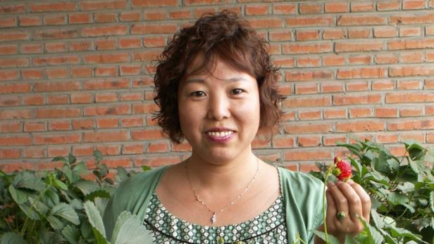 Wissen, was in den Wok kommt