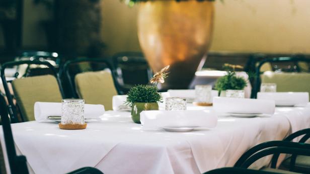 Ein gedeckter Tisch im Freien unter einem grünen Blätterdach.