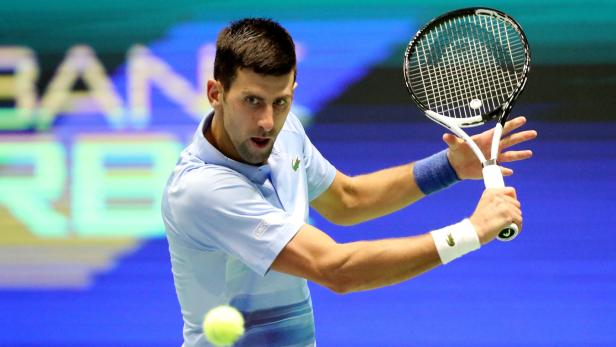 Tennis: Serbische Forscher benannten neue Käfer-Art nach Djokovic
