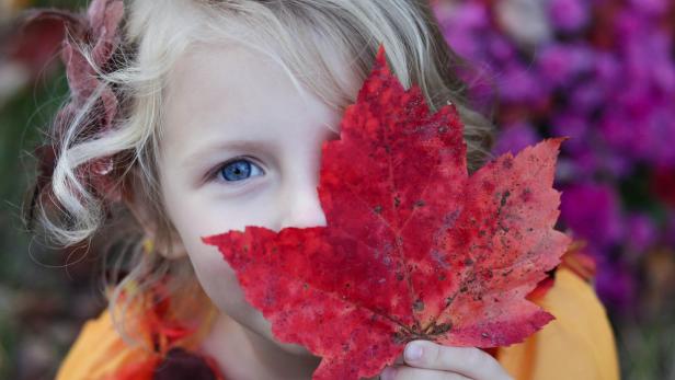 9 Ideen für die Herbstferien: Spaß und Abwechslung für die ganze Familie