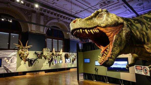 Klimaschützer hatten Dinosaurier in Wiener Museum im Visier